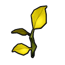 ashenwood_sapling_icon