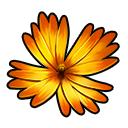 cactus_flower_icon